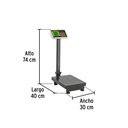 BAS-100PLAP+FC2.jpg