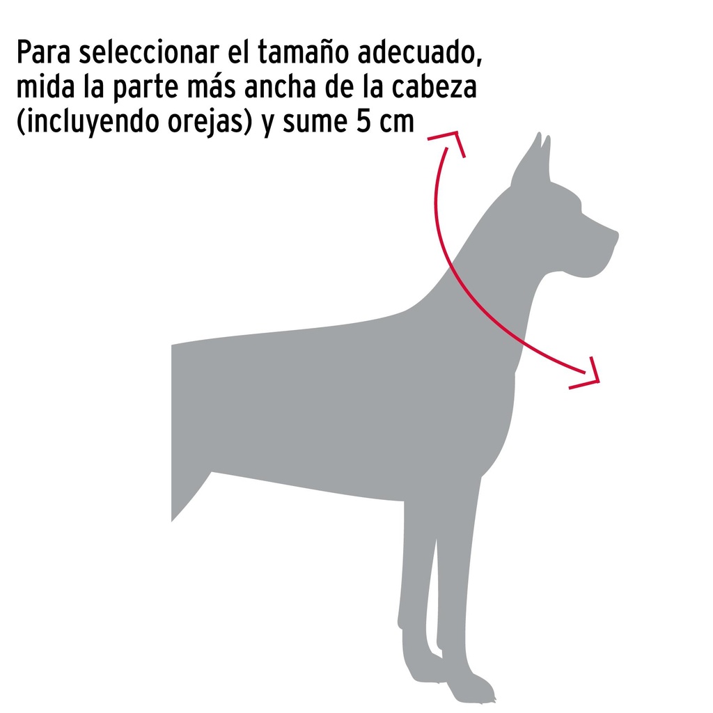 Collar de entrenamiento para perro, 60 cm, eslabón de 4 mm