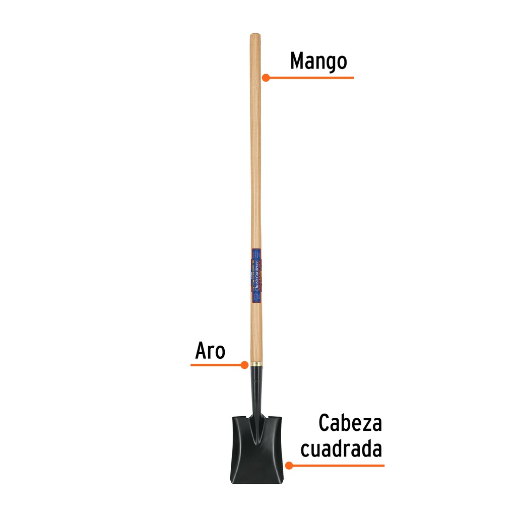 PCL-CG+FC1.jpg
