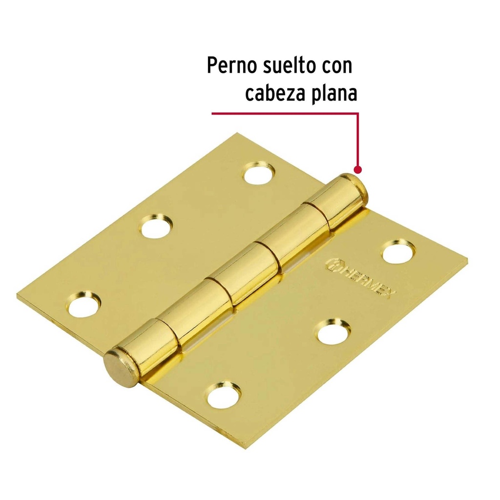 Bisagra cuadrada 3' acero latonado, plana, Hermex