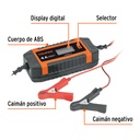 CARBA-4+FC1.jpg