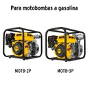 CB-GRUPO2+FC1.jpg