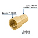 Adaptador hembra de latón 1' para poliducto, Foset