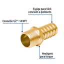 Adaptador macho de latón 1/2' para poliducto, Foset