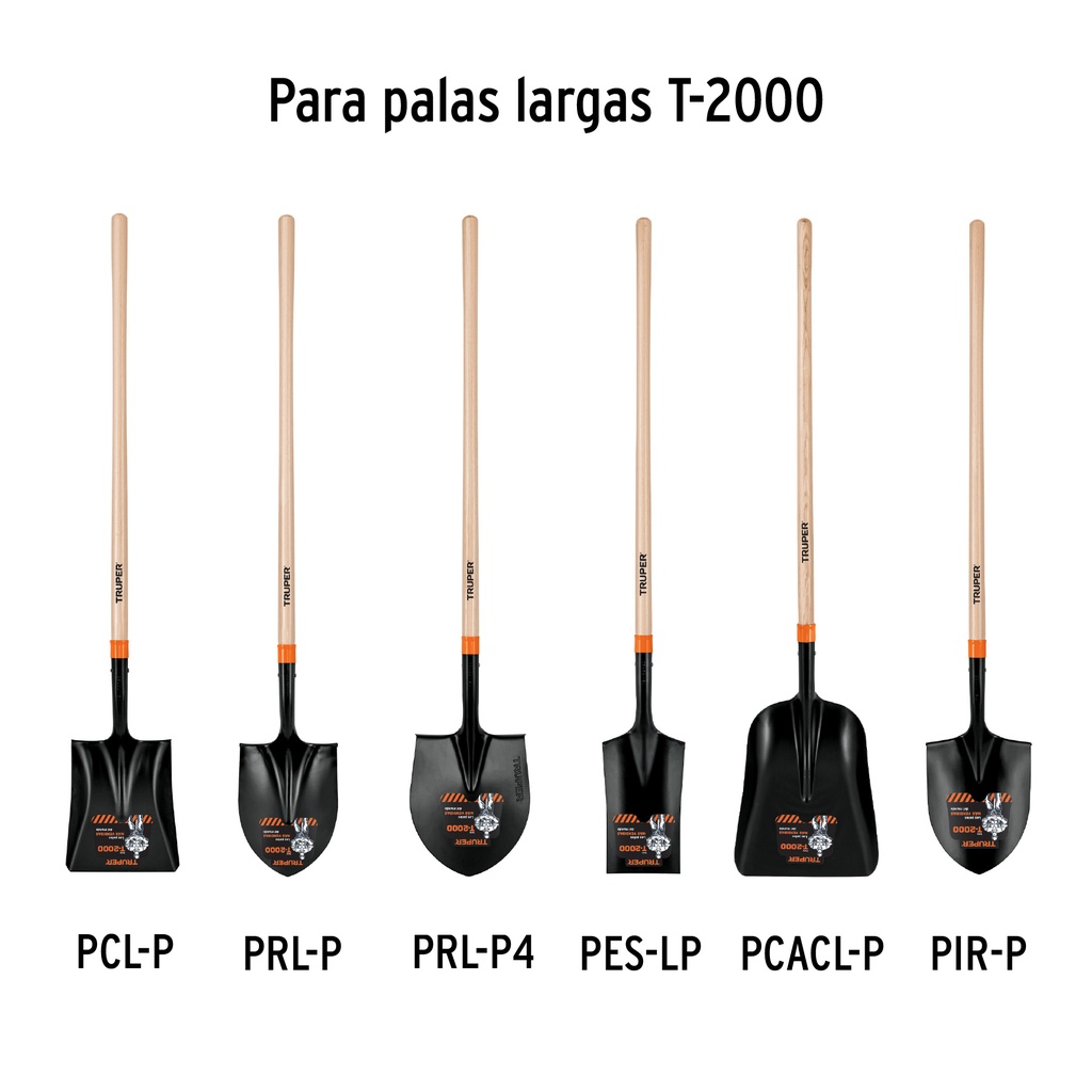 MG-PL-P+D1.jpg