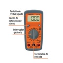 MUT-33+FC1.jpg