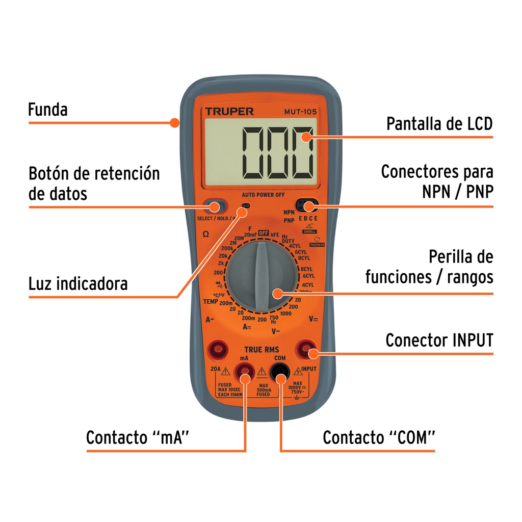 MUT-105+BIZQ1.jpg