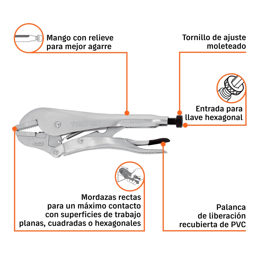 PPT-12R+BIZQ1.jpg