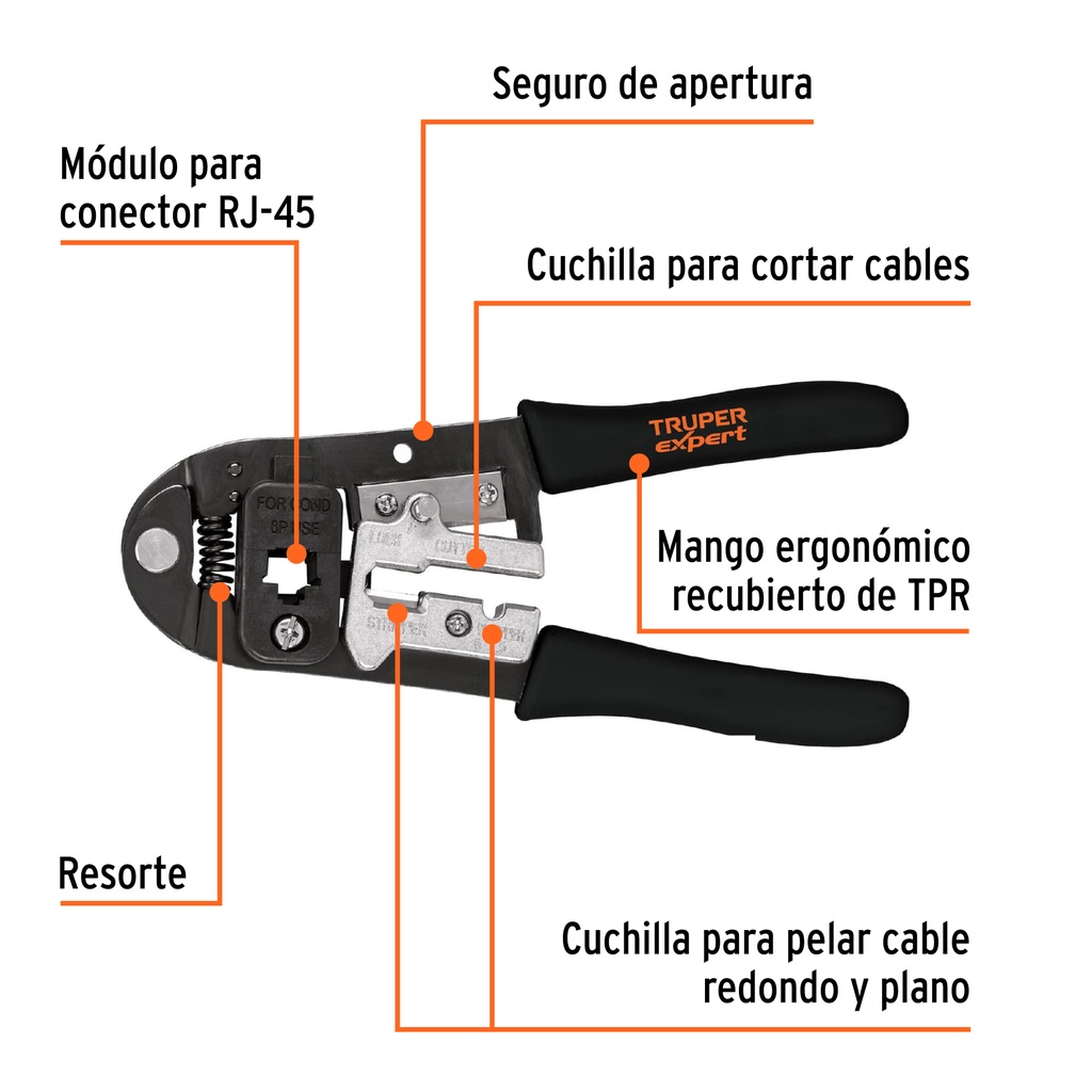 PRJ-45+BIZQ1.jpg