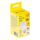 Lámpara LED A19 6 W (equiv. 40 W), luz cálida, caja, Basic