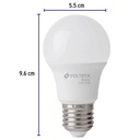 Lámpara LED A19 6 W (equiv. 40 W), luz de día, caja, Basic