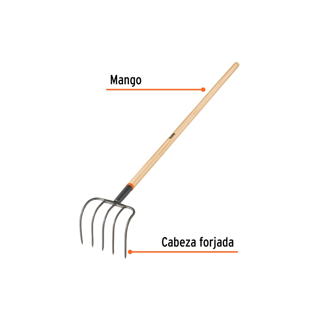 CUL-5+FC1.jpg