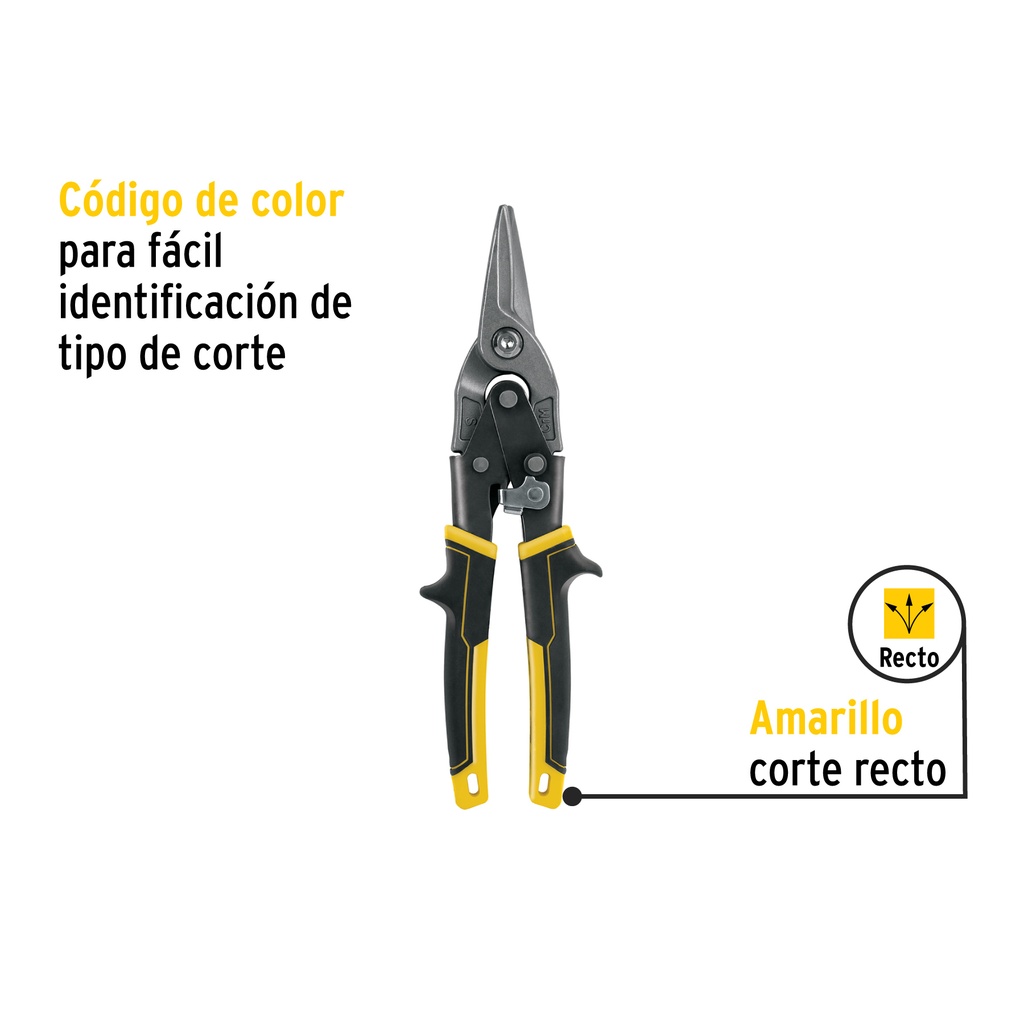 TAV-R+D1.jpg