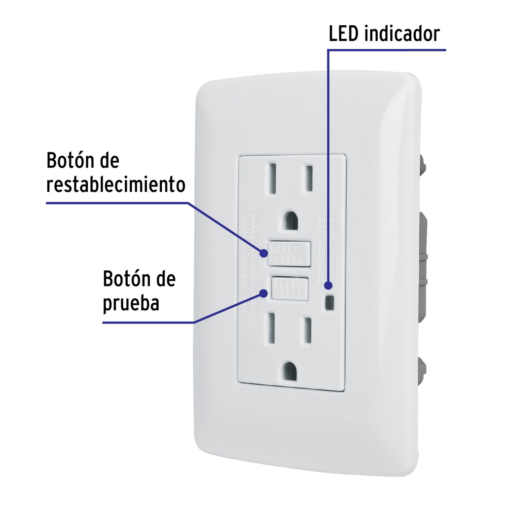 CODO-GFCIB+BIZQ1.jpg