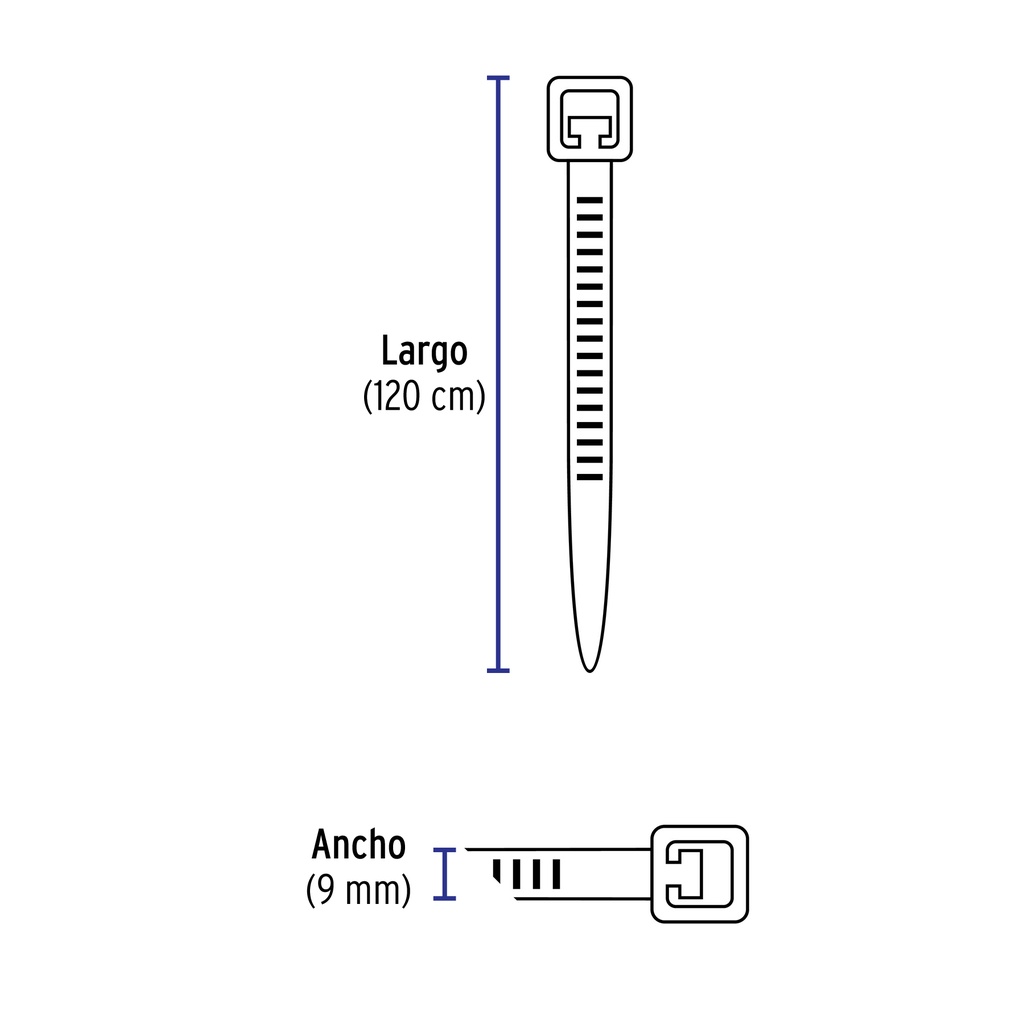 CIN-175120+BIZQ1.jpg
