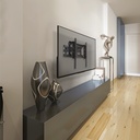 TVSM-65+A1.jpg