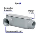 COLET-1-LR+FC1.jpg