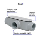 COLET-1-T+FC1.jpg