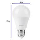 LED-60SM+FC2.jpg