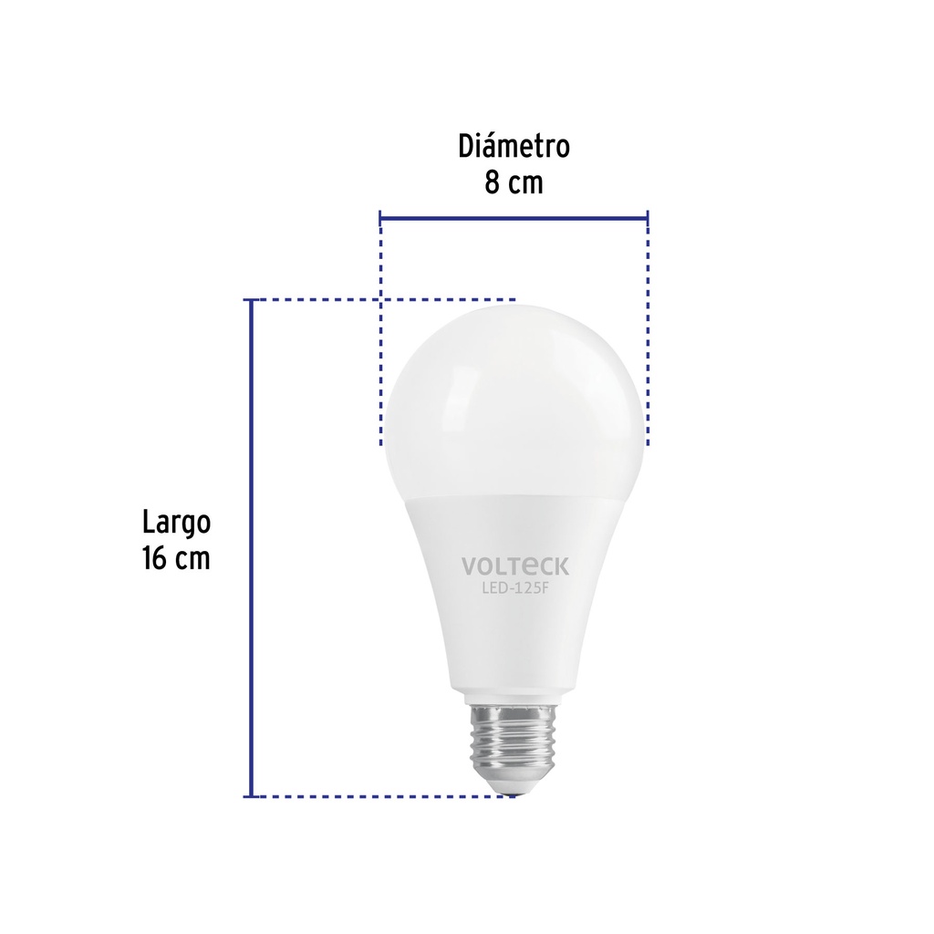 LED-125F+FC2.jpg