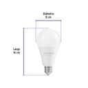 LED-125F+FC2.jpg