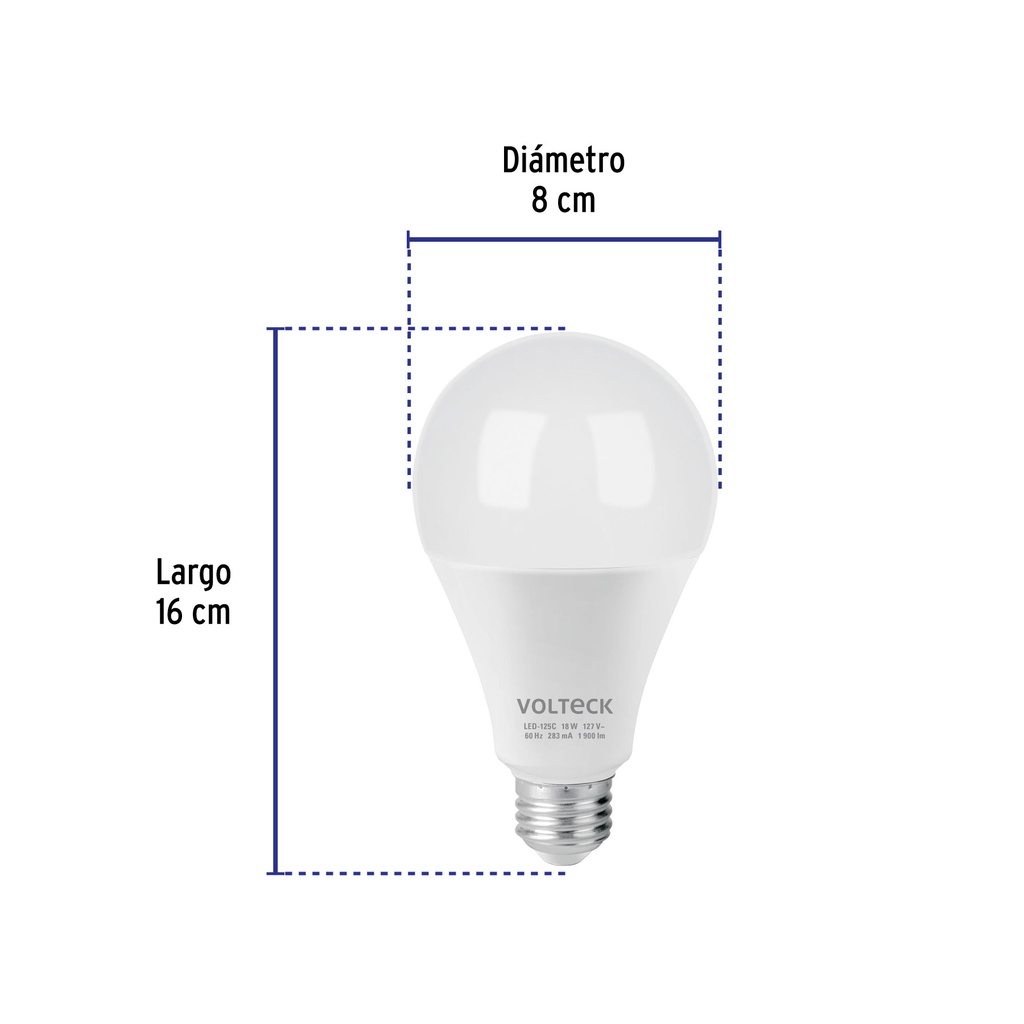 LED-125C+FC2.jpg