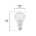 LED-125C+FC2.jpg