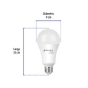 LED-125CB+FC2.jpg