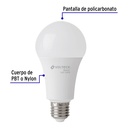 LED-125FBX4+FC1.jpg