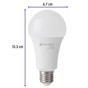 LED-125FBX4+FC2.jpg