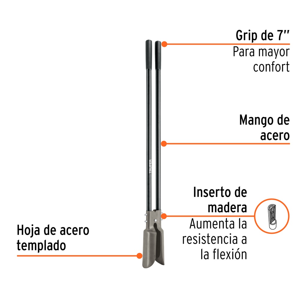 CA-36M+BIZQ1.jpg
