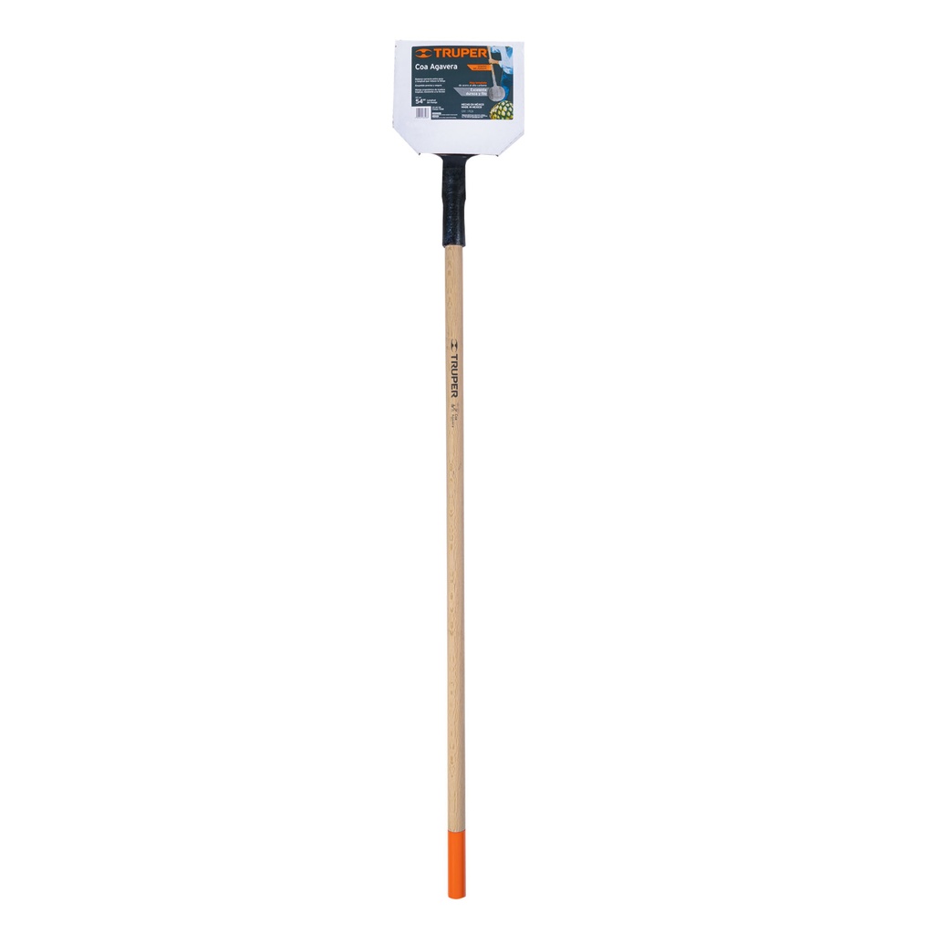 CO-AG-54+E1.jpg