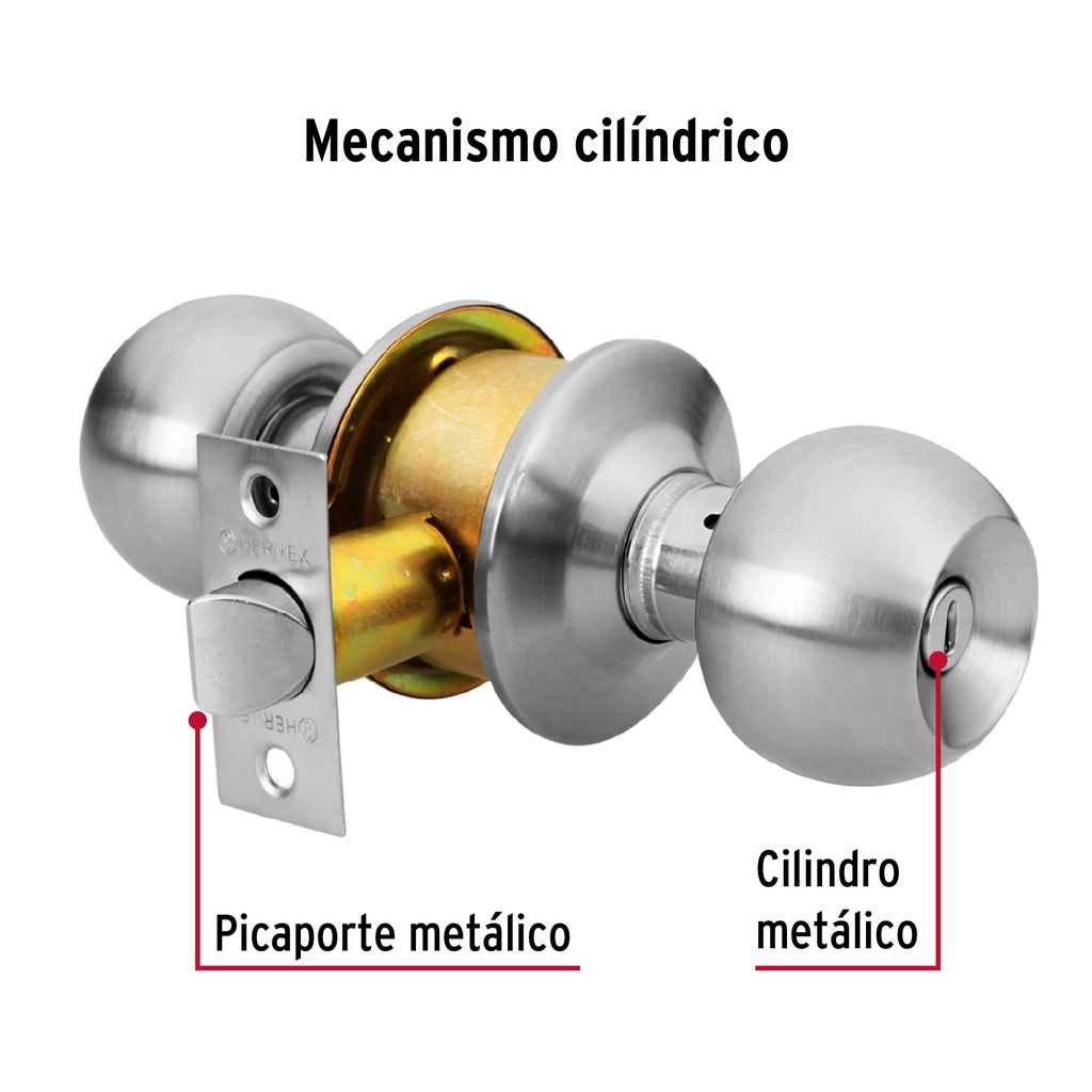 BAL-CM-BP+D2.jpg