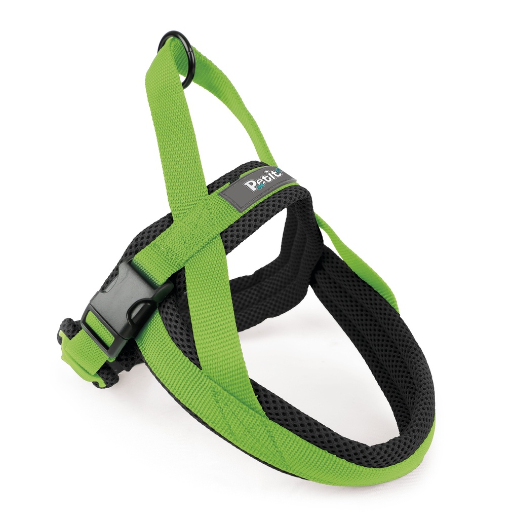 ARNÉS TIPO NORUEGO M, VERDE