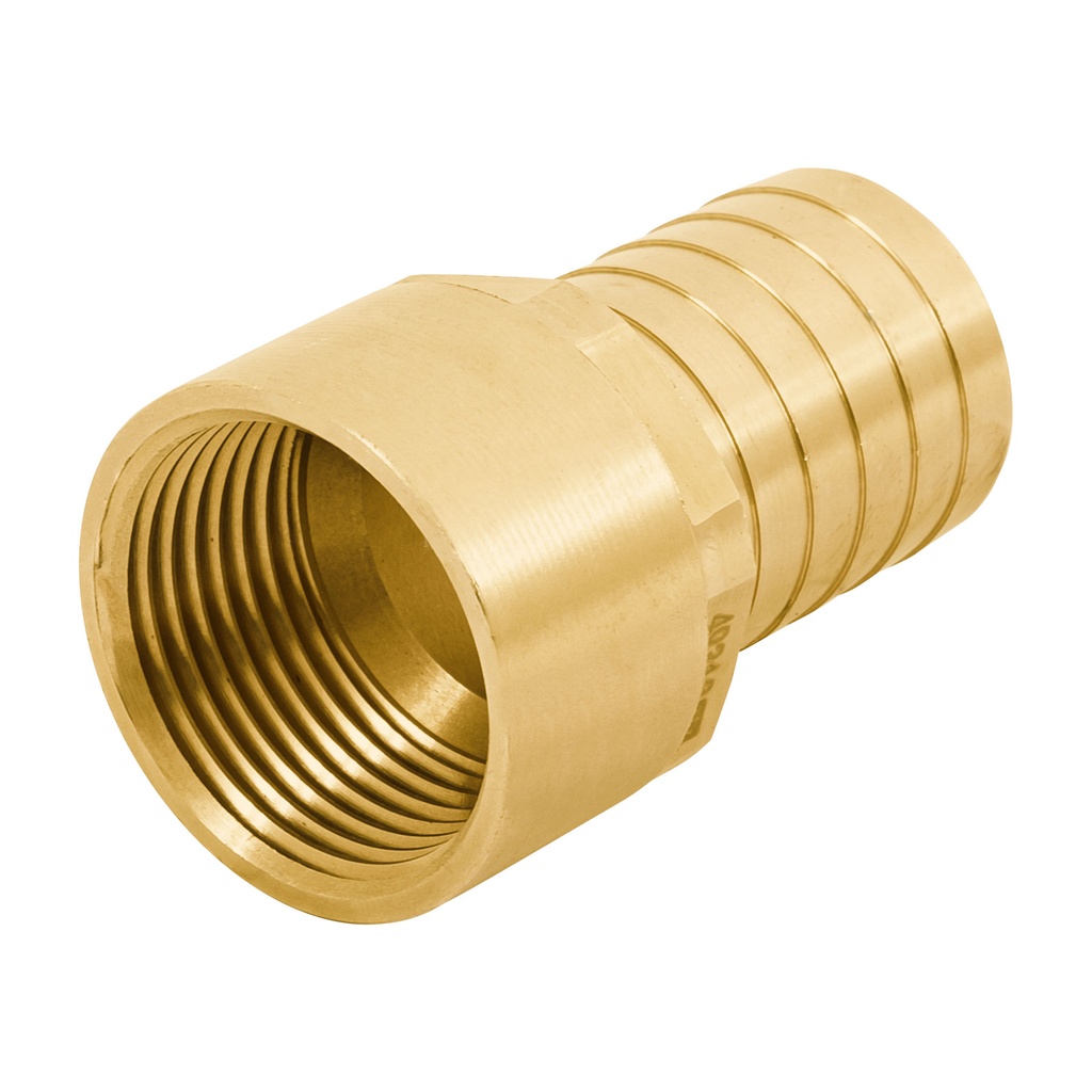 [T49313] Adaptador hembra de latón 1' para poliducto, Foset