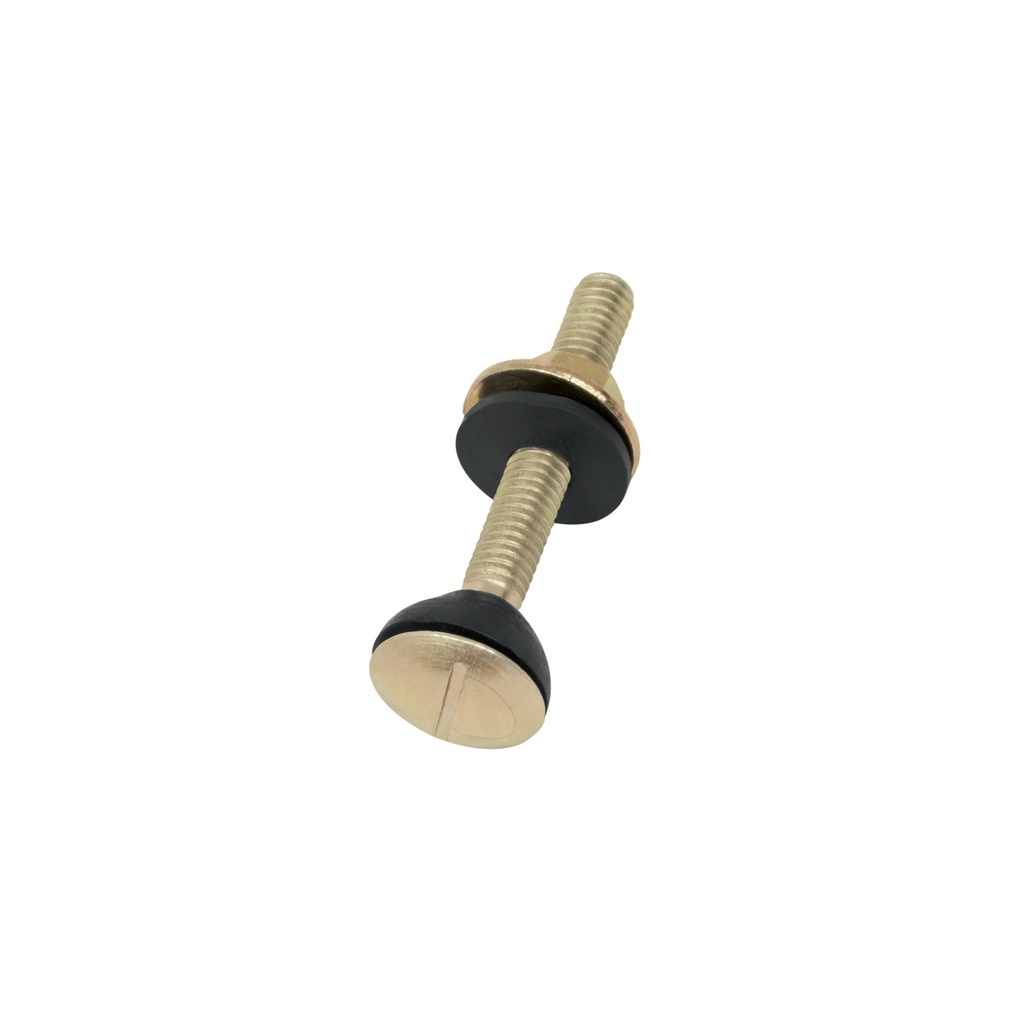 [T49331] Bolsa con 2 tornillos 5/16' x 70 mm para tanque de WC a base