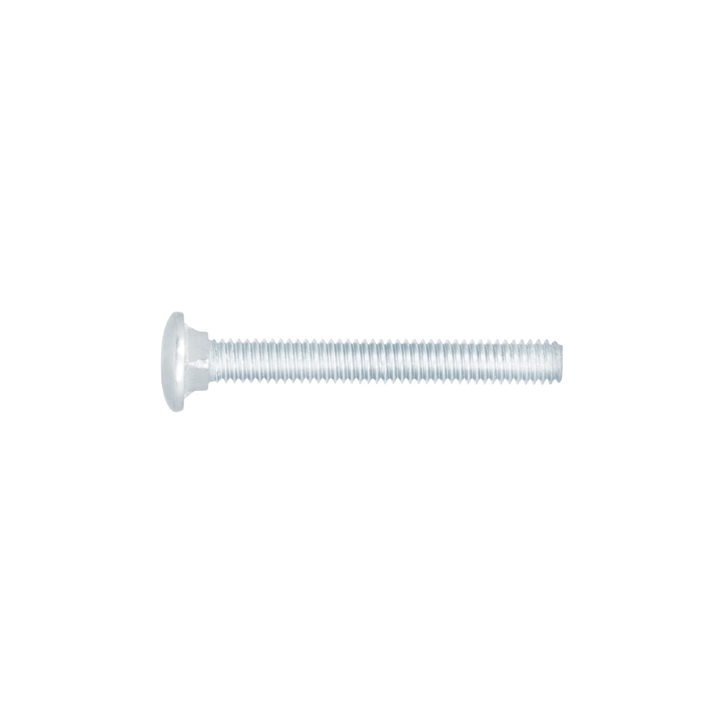 Bolsa con 60 tornillos 5/16' x 2-1/2' tipo coche, Fiero - Pag 568