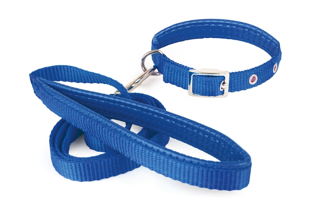 COLLARES CON CORREA SOFT L, AZUL