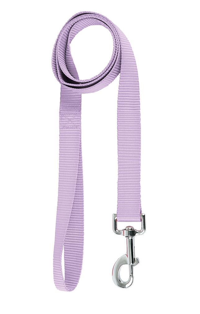 CORREAS MASCOTA M, MORADO