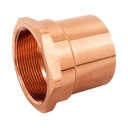 Conector de cobre, rosca interior 2', Foset