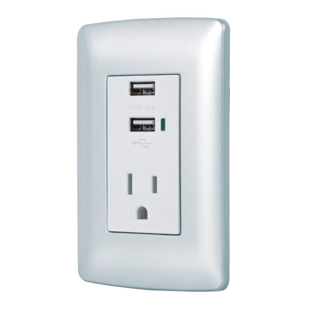 [T49808] Contacto aterrizado + 2 puertos USB, plata, línea Italiana