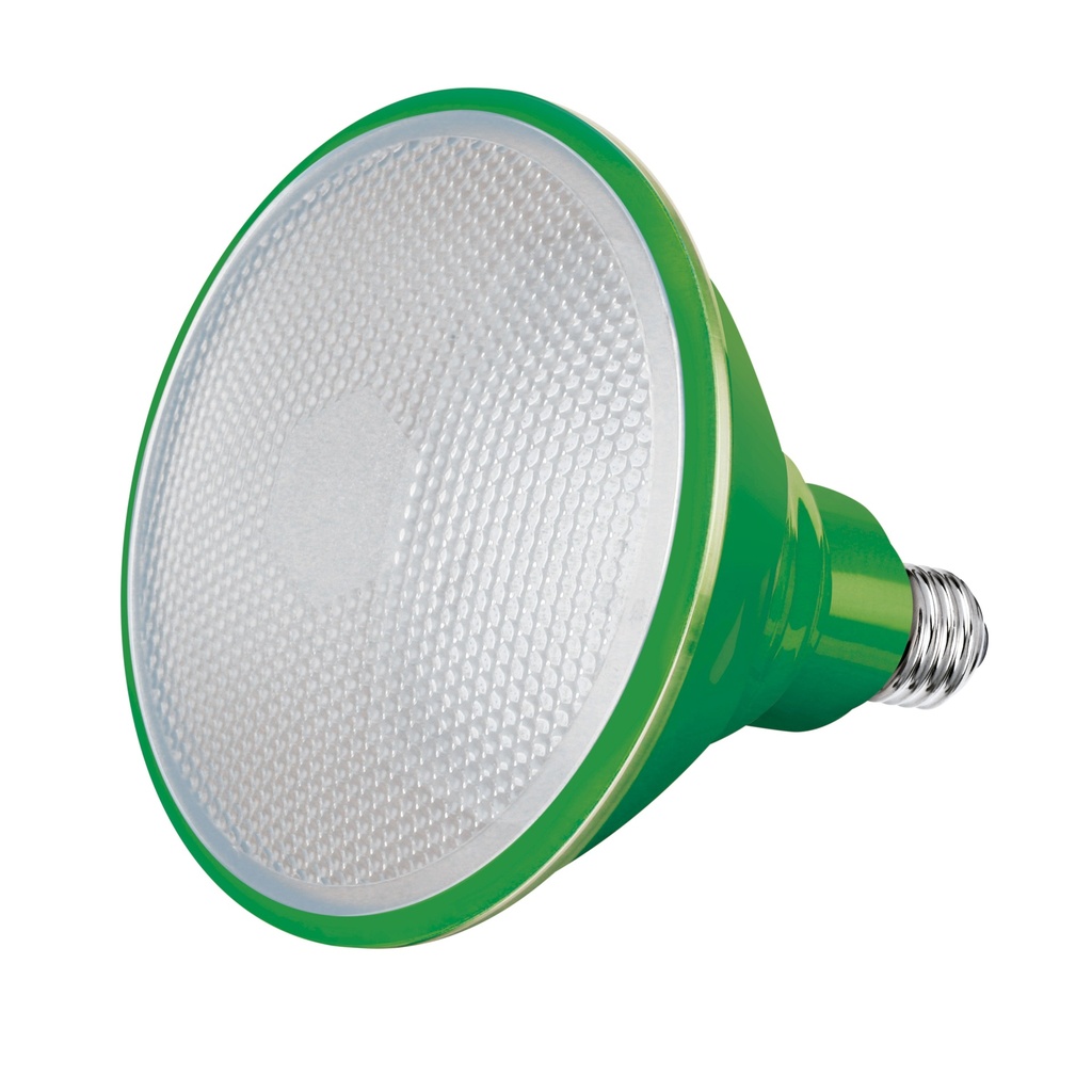 Foco LED PAR 38 12W Verde IP65, caja color