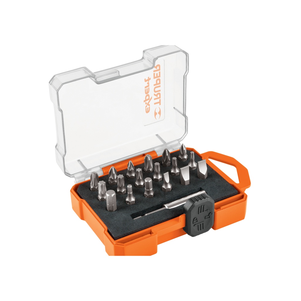 Juego de 19 puntas mixtas largo 1' estuche plástico, Expert - Pag 331