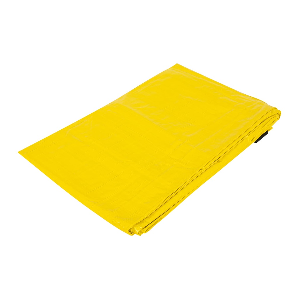 [T23741] Lona 3 x 4 m, amarilla, Pretul