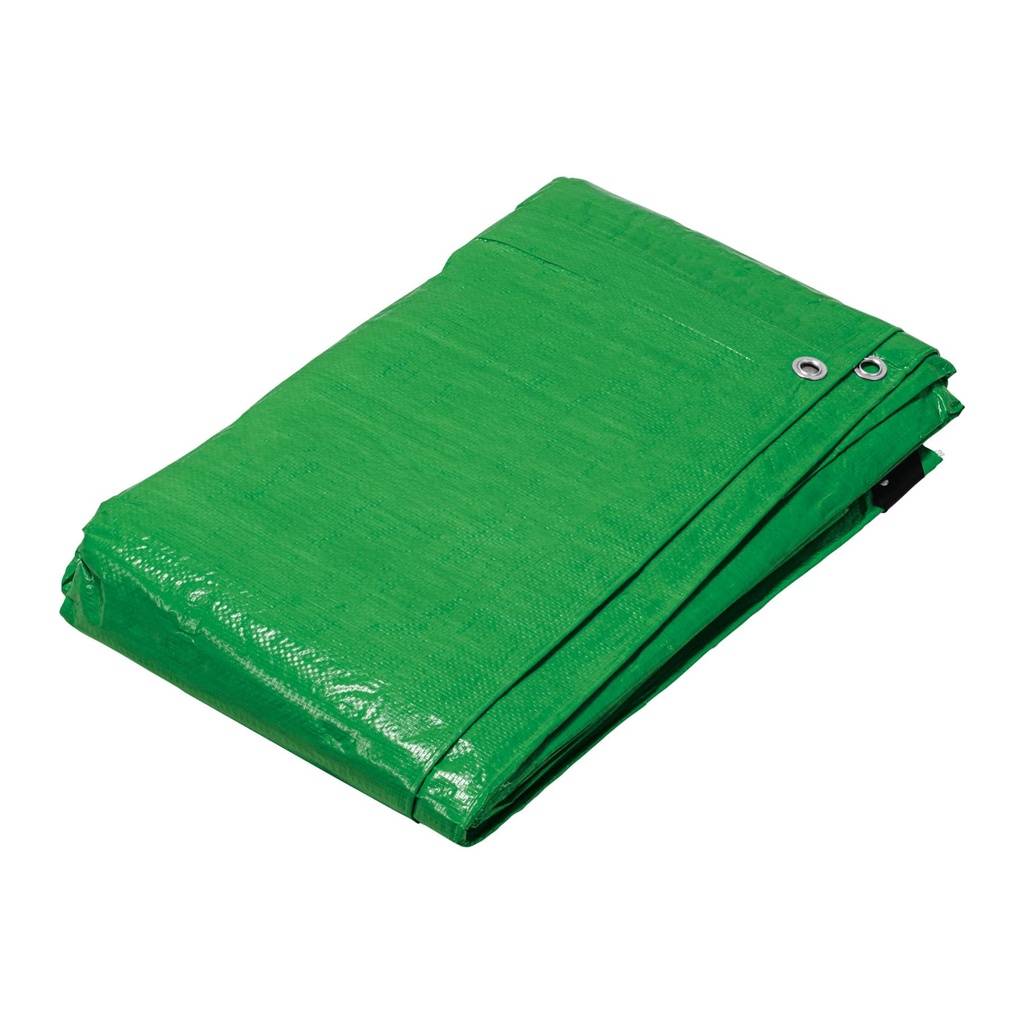 Lona 5 x 6 m, verde, Pretul - Pag 209