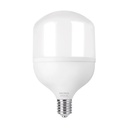 Lámpara LED alta potencia 60 W (equiv. 650 W), luz de día - Pag 585