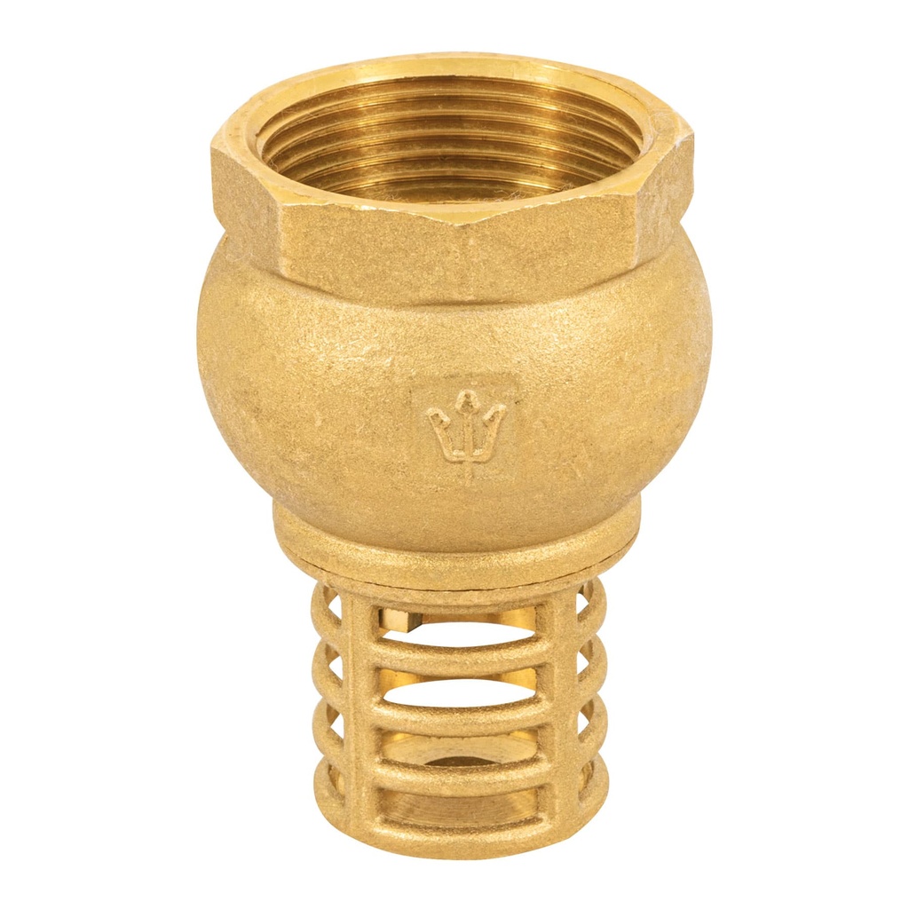 Pichancha con rejilla de latón 1-1/4', Foset - Pag 537