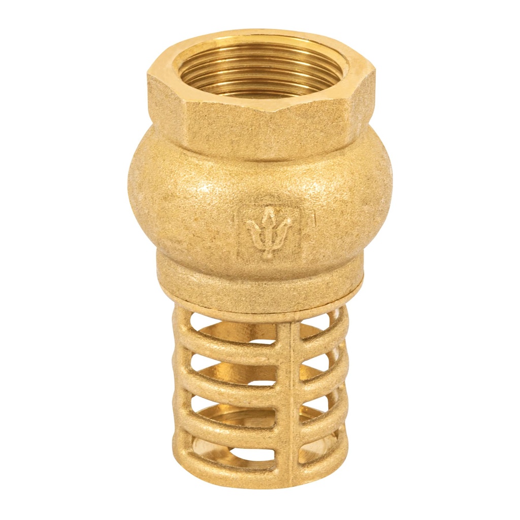 Pichancha con rejilla de latón 3/4', Foset - Pag 537