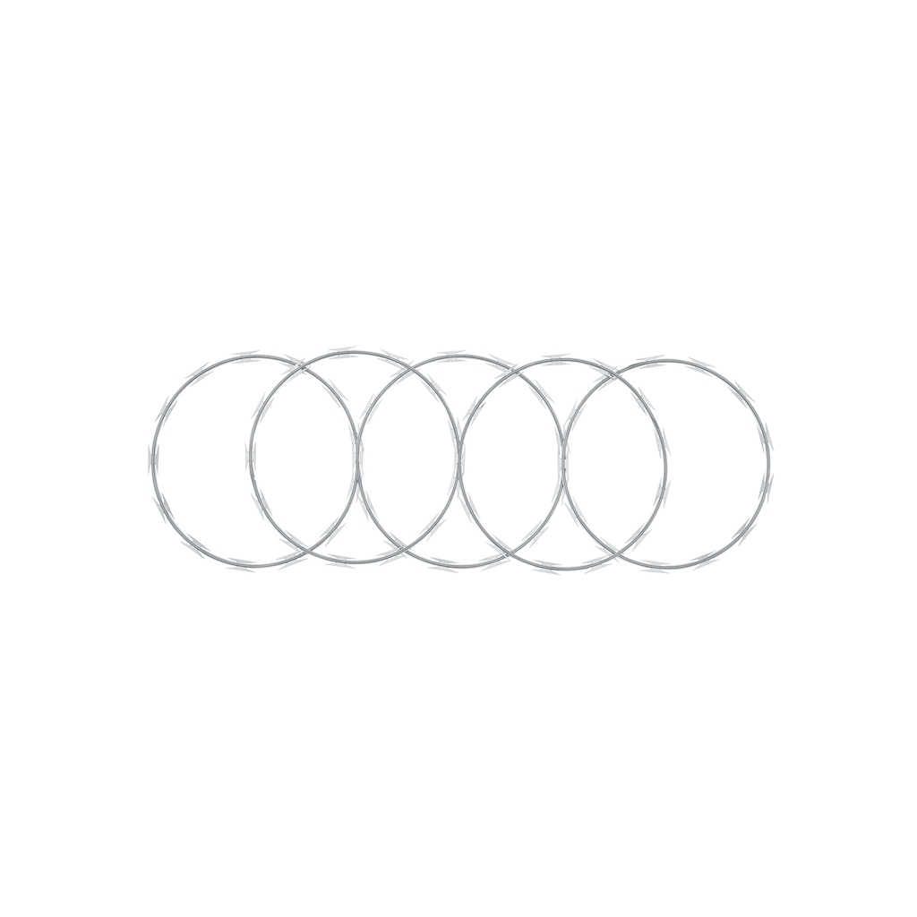 Rollo de púa concertina alta seguridad, 45 cm diámetro