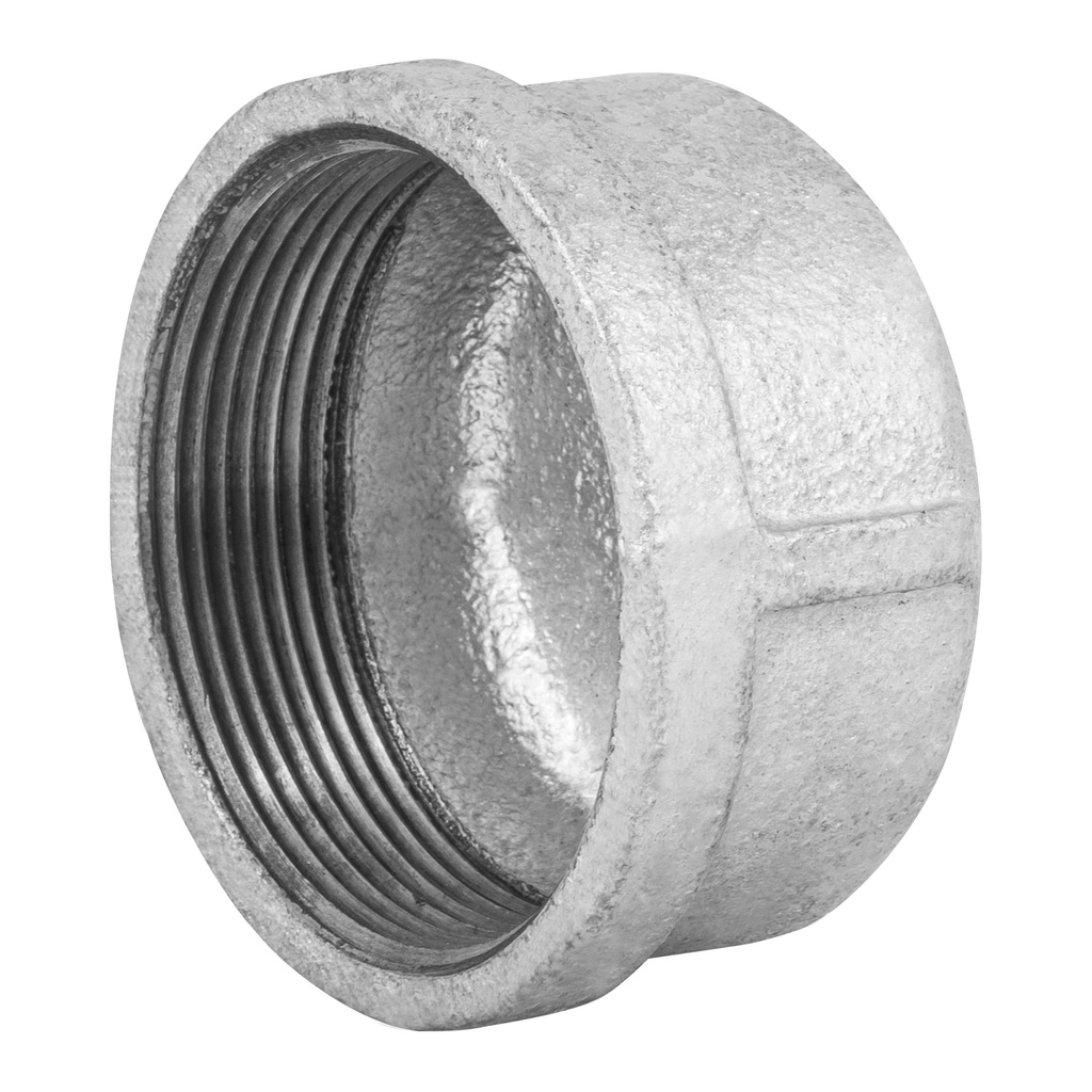 [T48788] Tapón hembra 2' de acero galvanizado, Foset